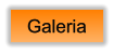 Galeria Galeria